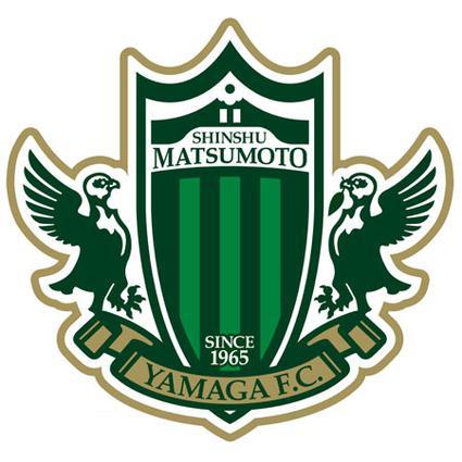 Câu lạc bộ Bóng đá Yamaga - Hành trình Từ Giải Vô địch Khu vực đến J2 League
