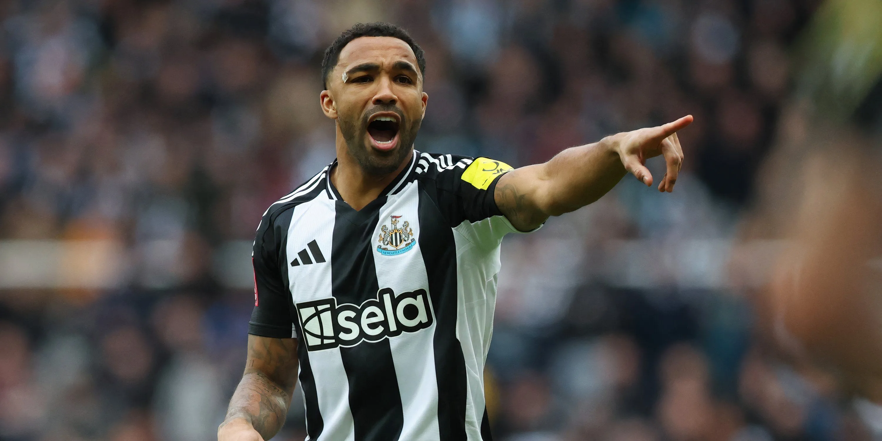 Callum Wilson, tiền đạo giàu kinh nghiệm của Newcastle United