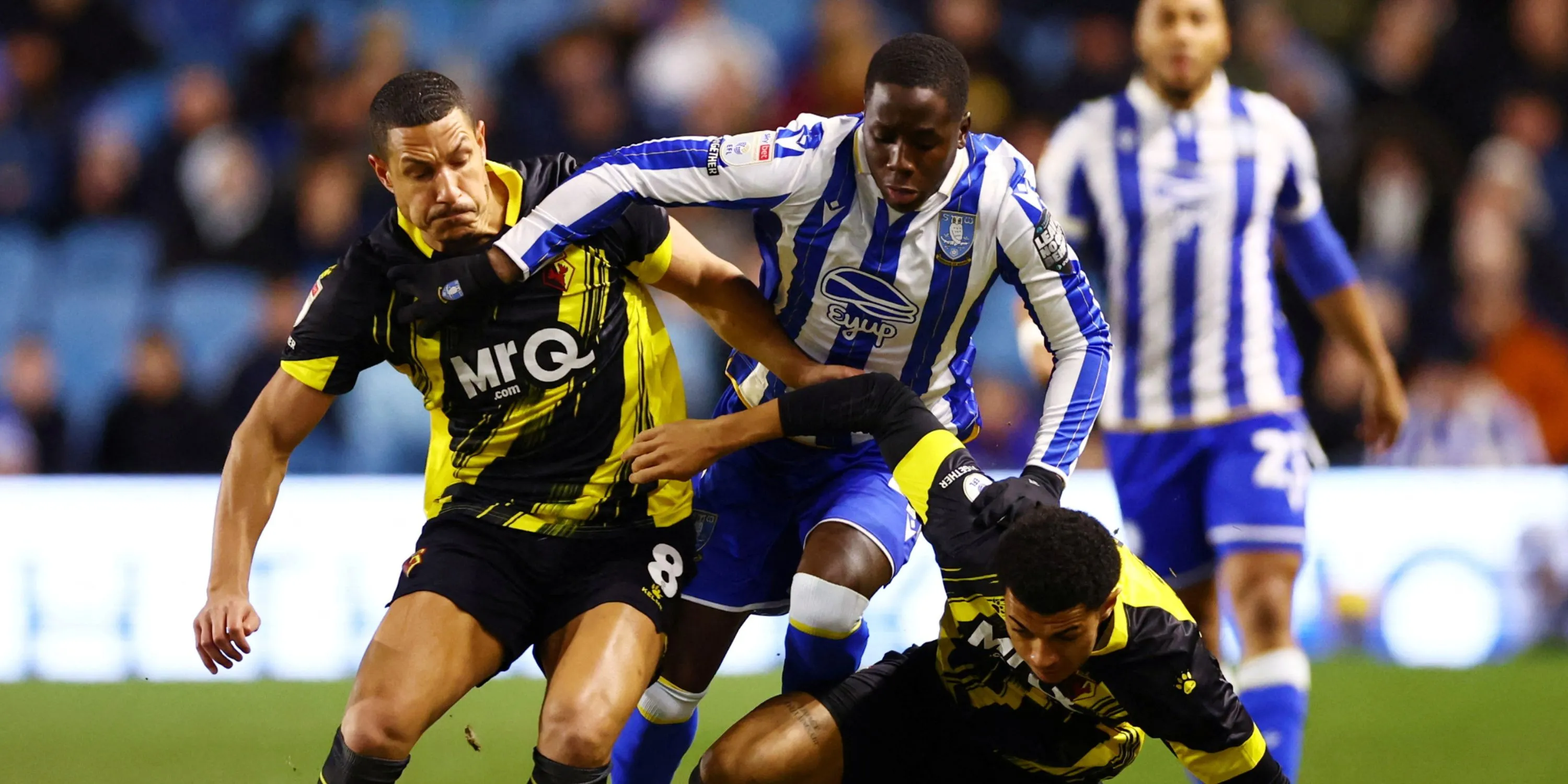 Djeidi Gassama trong màu áo Sheffield Wednesday tại Giải Hạng nhất Anh