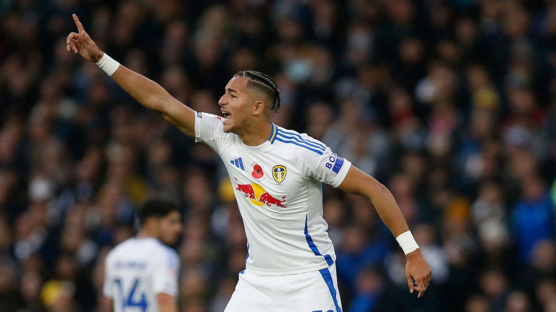 Mateo Joseph, mục tiêu của Birmingham City, trong trận đấu giữa Leeds United và QPR