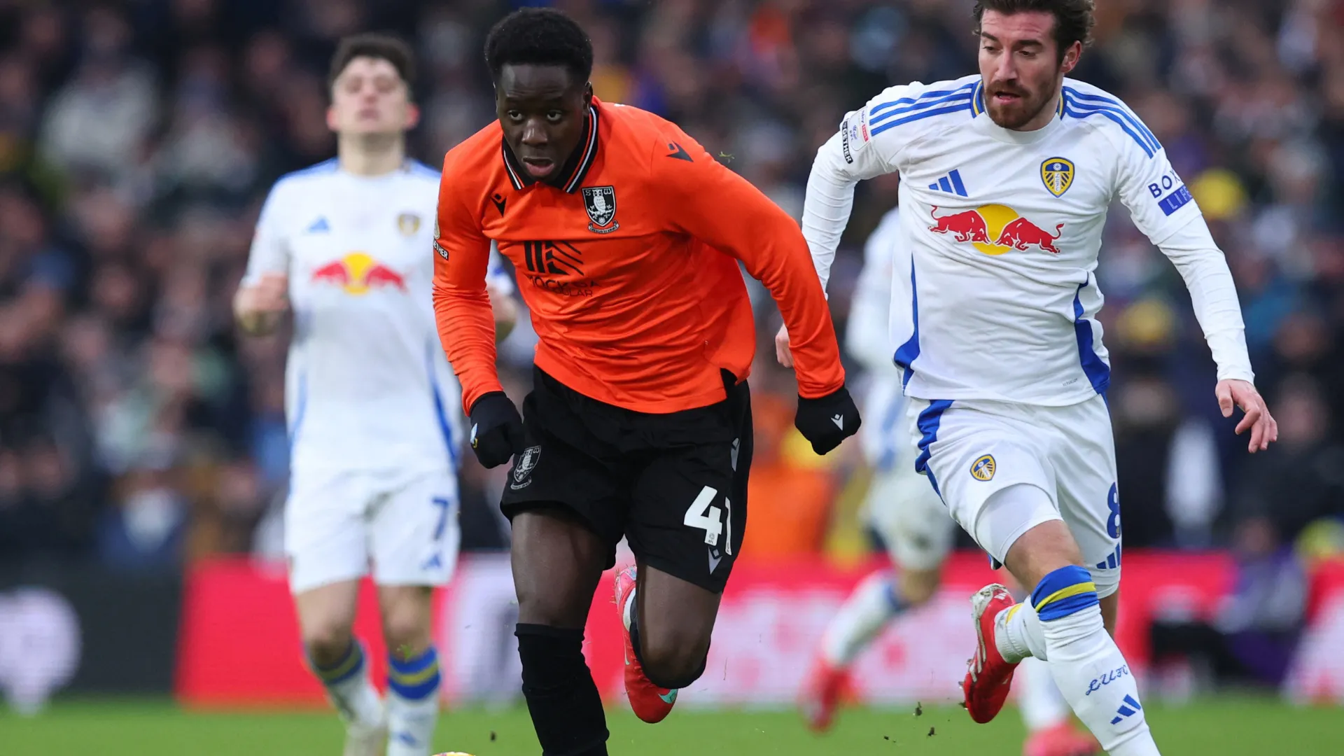 Tiền vệ Djeidi Gassama trong màu áo Sheffield Wednesday